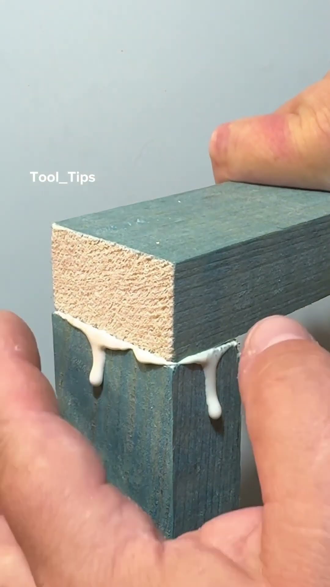 Tip Lessens