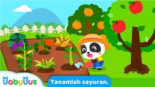 Bayi Panda - Bertani, Berkebun Dan Menjual Hasil Pertanian Dan Peternakan #Babybus screenshot 4