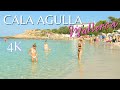 Walking tour Cala Agulla | BEACH WALK & SWIM | Mallorca (Majorca) | Spain | 4k