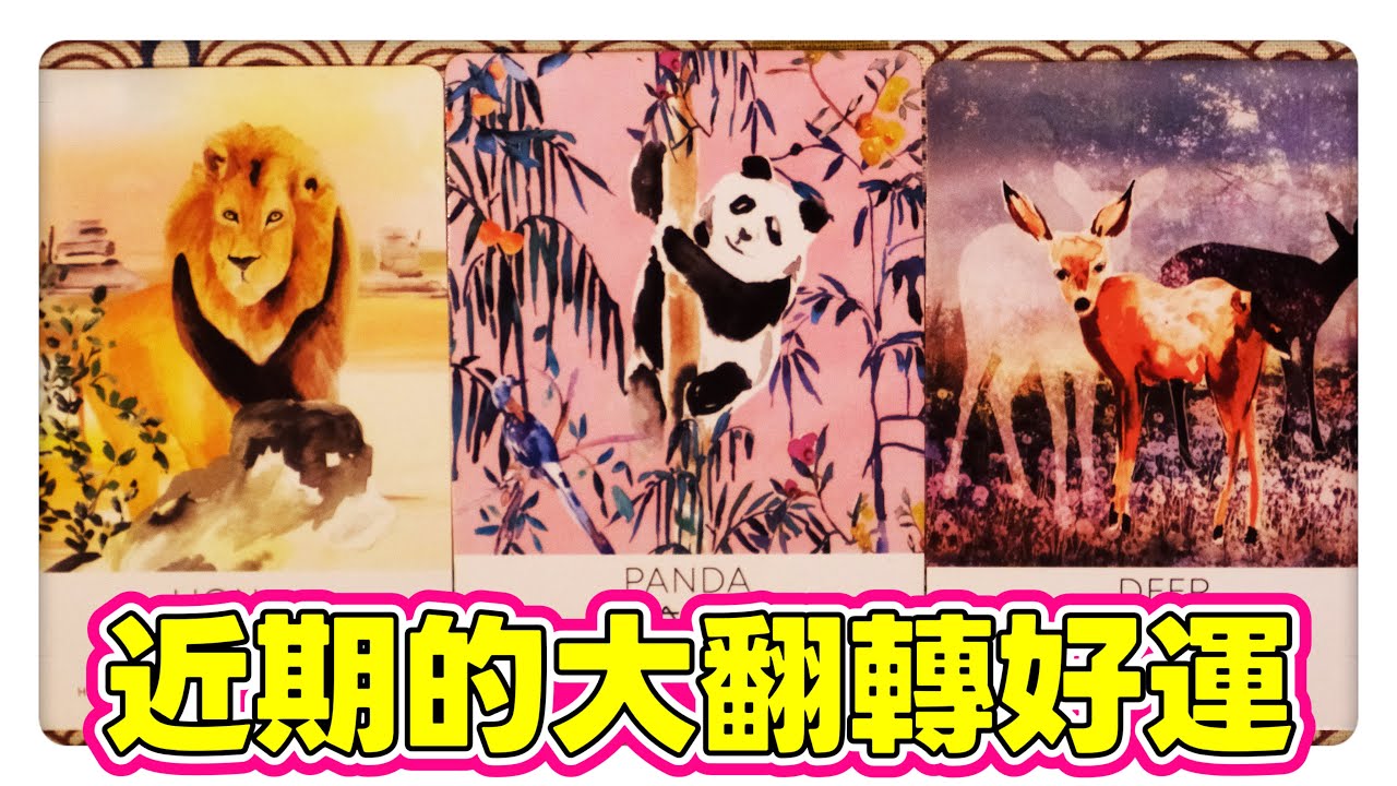 芮安塔羅占卜⚝ 【能量更新⭐近期的大翻轉好運⭐宇宙的提點】⚝｜神聖時間軸｜財運｜愛情｜健康｜情感運勢｜綜合運勢｜事業｜人際｜不限時間 timeless｜CC字幕