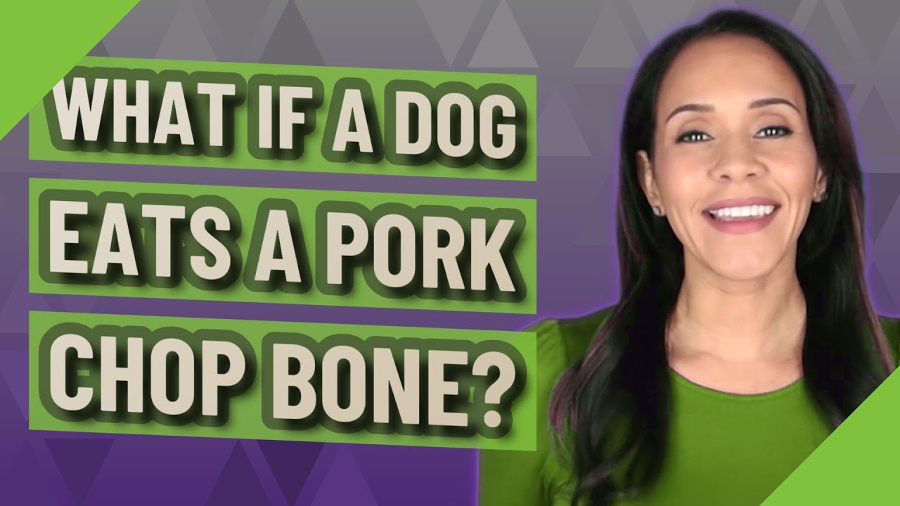 what happens if a dog eats a pork chop bone