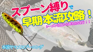 【トラウトルアー　ヤマメスプーニング】スプーン縛りで早期本流攻略！シーズン初期から越冬魚を狙う！