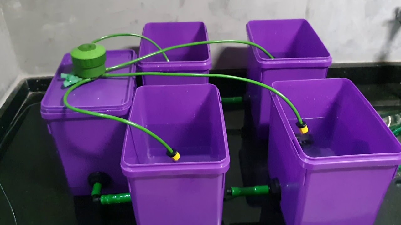 Mini sistema hidropônico DWC de recirculação