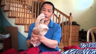 Organize With Me | Jewelry & Accessories Home Organizing Tips