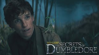 Fantastic Beasts: The Secrets of Dumbledore - The Problem With Newt Scamander