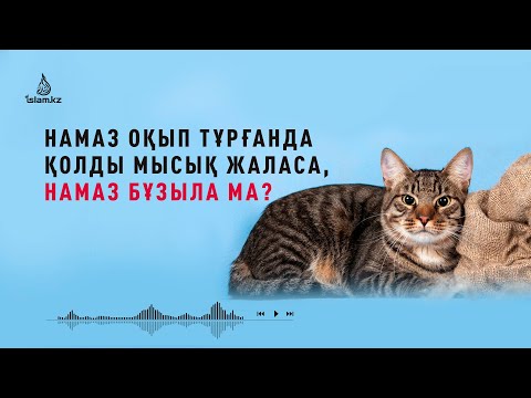 Лесби ана порно