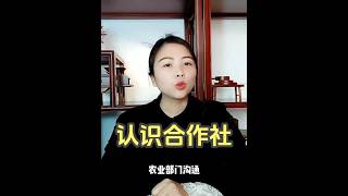 认识农民专业合作社 #农业发展方向  #乡村振兴  #土地托管  #土地入股  #合作社