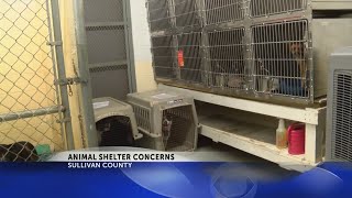 Animal cruelty investigation at Sullivan County Animal Shelter underway as county makes improvements