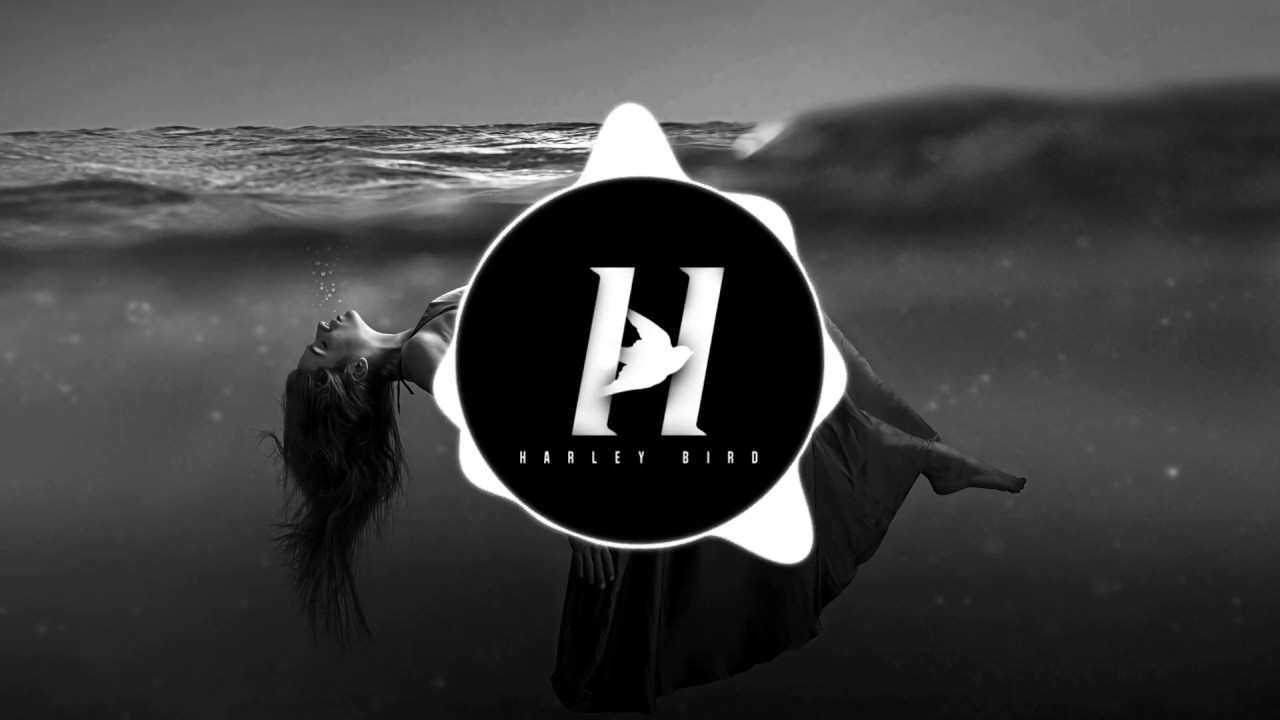 Diviners Falling Diviners - Falling (feat. Harley Bird) - YouTube