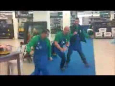 Cfadda olbia Cfadda olbia
