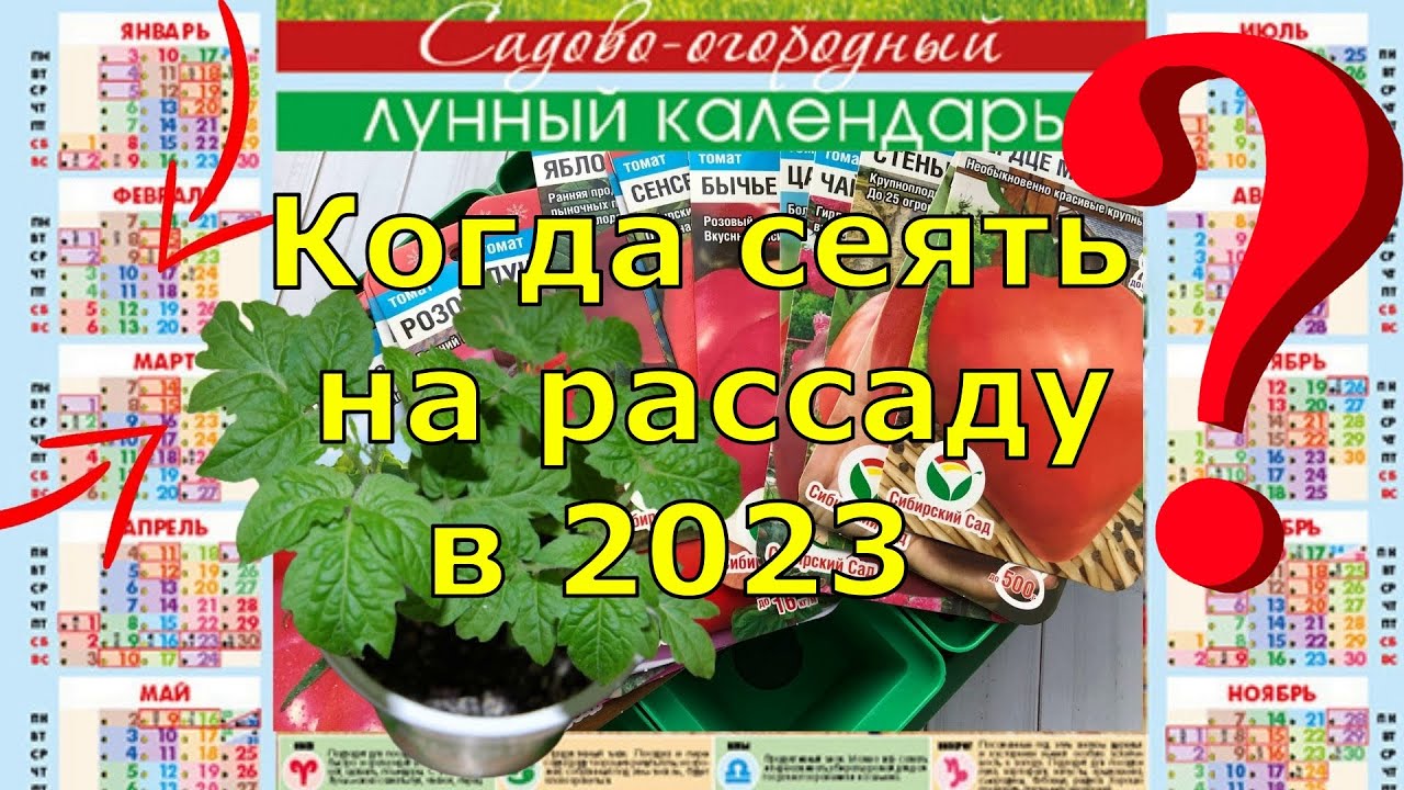 Календарь огородника на март 2023