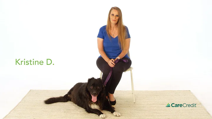 Real Moments: CareCredit for Pets - Kristine's Sto...