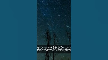القارئ جابر بلهادف🎧