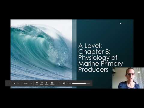 Chapter 8: Physiology of Marine Primary Producers Pt. 1