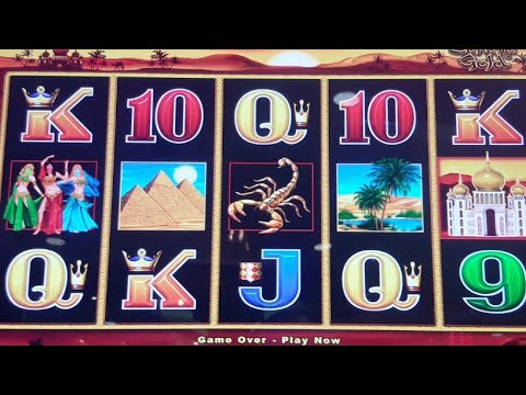 Cesar Palace Bluewaters Dubai #casino #dubai #shorts #bluewatersisland