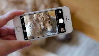 How to adjust live exposure settings in the iOS 8 Camera app screenshot 5