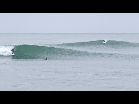 Lowers Is GOING OFF GLASSY Shark Scare And Heavy Claims
