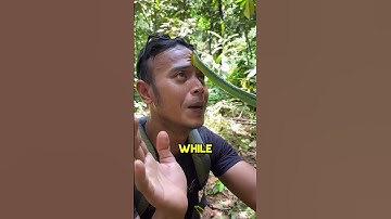 Thumbnail of How to Survive a Snakebite