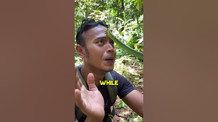 How to Survive a Snakebite