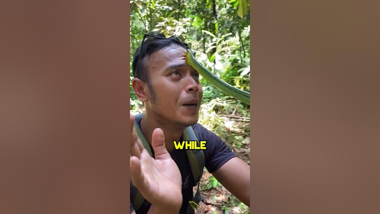 How to Survive a Snakebite