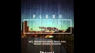 BZM003 - FlexB - Sul (Alex Senna Remix) [Brazuka Music]