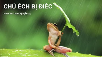 Chú Ếch bị điếc - Voice Off: Quân Nguyễn