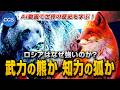 【AI動画で世界の歴史を学ぶ!】ロシアはなぜ強いのか？ 武力の熊か？知力の狐か？