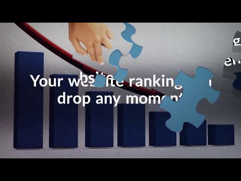 Your SEO Company