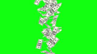 dollar money stocks falling green screen and black screen no copyright video