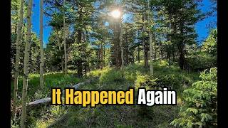 Someting New Had Entered the Forest