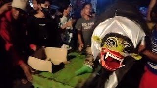 Macan Macanan Barong New Surya Kencana live Tamansuruh