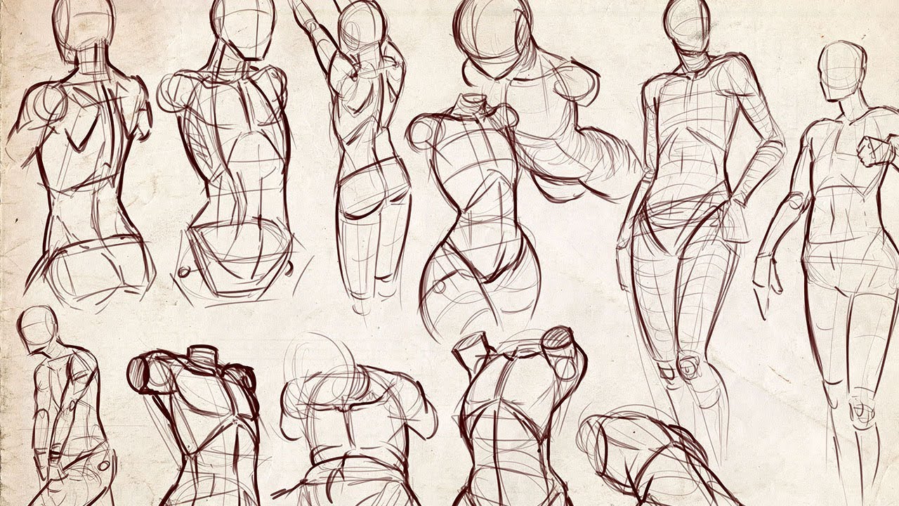 Draw Female Figure Figure Drawing Female Deviantart Drawings