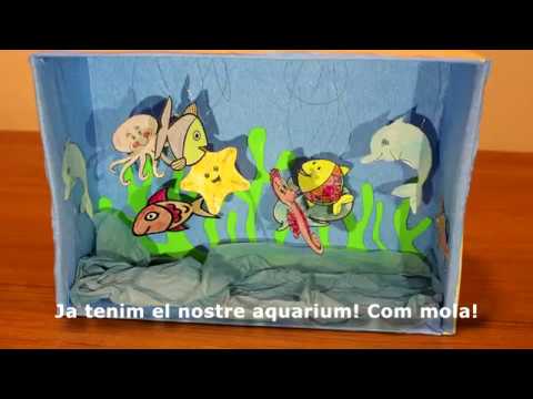 Vídeo: Com Fer Un Aquari