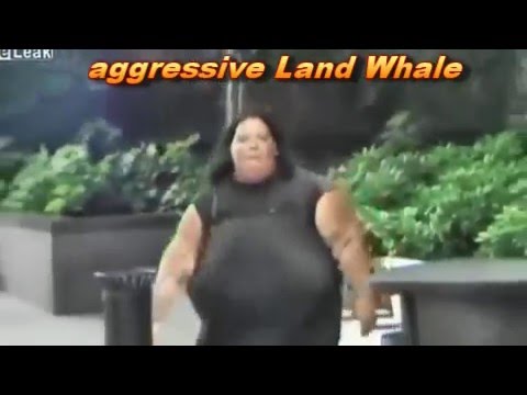 huge-land-whale-assault-men-filming-very-funny