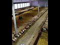الحظيره الذكيه للاظلاف الصغيره مطلب لا غنى عنه الحظيره الذكيه للاظلاف الصغيره مطلب لا غنى عنه
