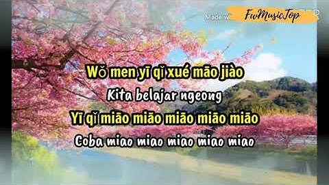 Xiao pan pan &  Xiao feng feng - Xue mao jiao (lyrics & terjemah sub indo 2020)