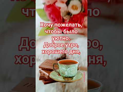 Доброе утро! ☀ Хорошего дня! ❤