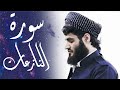 سورة النازعات كما لم تسمعها من قبل القاريء رعد الكردي 