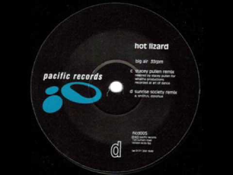 Hot Lizard - Big Air (Stacey Pullen mix)