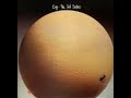 Miniature de la vidéo de la chanson Prelude