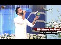 Watch Bibi Amna Ke Phool Naat By Waseem Badami - #12RabiulAwal Online In Hd