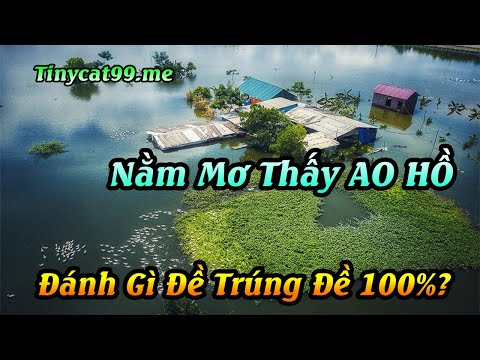 Nằm Mơ Thấy AO HỒ Đánh Con Gì - Giải Mã Giấc Mơ Thấy AO HỒ | Tinycat99 Cham Me