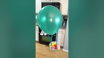 worm hot air balloon