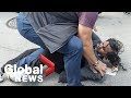 Protester arrested after throwing egg at Trudeau