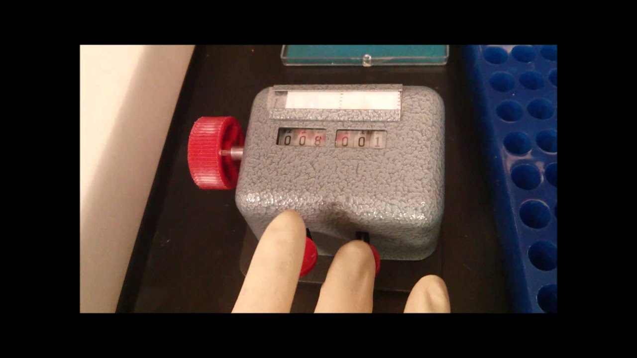 How to Count Cells on a Hemocytometer - YouTube
