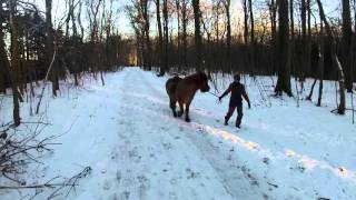 MTB Vinter i Marselisborg Aarhus