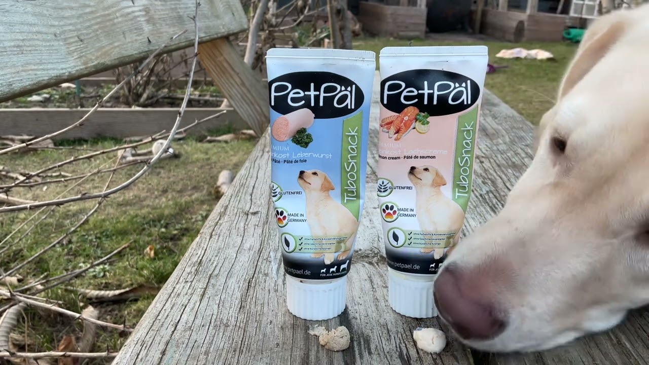 Liver VS Salmon: Which one does Billie prefer?