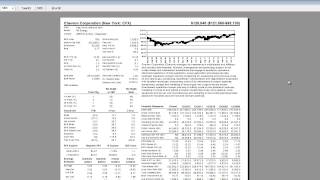Printing Comprehensive Company Data Using Reports