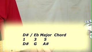 D D Major Guitar Chord Beginner Guitar Tutorial L 717