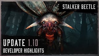 Stalker Beetle | Update 1.10 Developer Live Stream Highlights